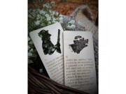 O Červené karkulce - prosvěcovací kartičky