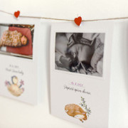 Milníkové kartičky našeho děťátka