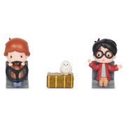 Harry Potter dvojbalení mini figurek Harry a Ron s doplňky