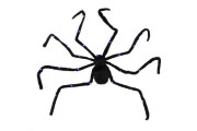 Pavouk velký plyš 125 x 9 cm se světlem karneval