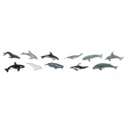 Tuba - Velryby a delfíni