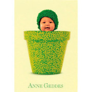 Blahopřání mini Anne Geddes - Zelená v květináči