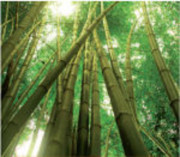 Bambusová přebalovací podložka 50 x 80 cm