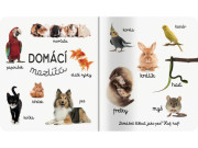 Domácí zvířata První slova