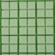 Ortopedická matrace Eco Green 120 x 60 x 10 cm BabyMatex