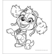 Mini omalovánky s pastelkami Tlapková Patrola