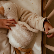 Spací pytel s oddělitelnými rukávy 90 cm TOG 2 Little Dutch