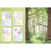 Svět zvířat v samolepkách Zvířata v lese a na louce 