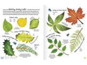 Kniha lesa Emily Bone, Alice James, ilustrace Nat Hues