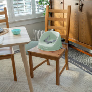 Podsedák na jídelní židličku My Spot™ 6 m+, do 15 kg Ingenuity