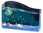 Vodní mazlíček žábronožka solná Kosmos