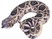 Chřestýš/polštář cestovní plyšový 40 cm, 0 m+