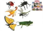 Hmyz 9-13 cm 6 druhů