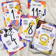 Milníkové a kontrastní kartičky 2v1 Edukid