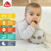 Hrací lenochod, Lazy Baby Fehn