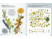 Kniha lesa Emily Bone, Alice James, ilustrace Nat Hues