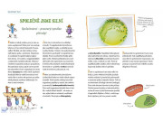 Jak zvířata myslí a co cítí Karsten Brensing, Nikolai Renger