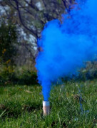 Dýmovnice modrá - Je to kluk!