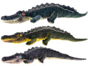 Krokodýl plyšový 52 cm 0 m+