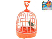 Ptáček zpívající Toys&Trends