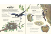 Příběhy ročních období Anna Wilson, Carolina Rabei