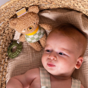 Medvídek Brendon Taf Toys