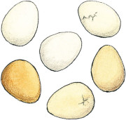 Mini hra pro děti Zahlendino Haba