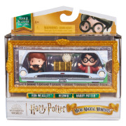 Harry Potter dvojbalení mini figurek Harry a Ron s doplňky