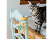 Plastová láhev s pítkem Glow Kids 580 ml Quokka 