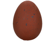 Medvěd černý líhnoucí a rostoucí 