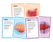 Pojďme se učit: Naše úžasné tělo Tactic