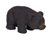 Medvěd černý líhnoucí a rostoucí 