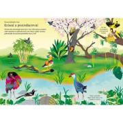 Moje první samolepkování Ptáci