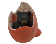 Medvěd černý líhnoucí a rostoucí 