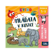 Kvído Mláďata v kostce Albi