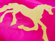 Dětský karnevalový převlek Unicorn 2v1