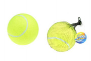 Tenisový míček mega 15cm v síťce