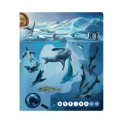 Kouzelné čtení kniha Tajemství moří a oceánů Albi