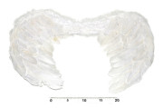 Andělská křídla 55x40 cm
