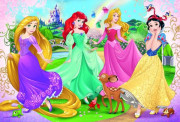 Puzzle Princezny Disney 33x22cm 60 dílků