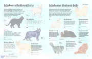 Kniha o domácích zvířátkách s nálepkami - Psi, kočky, koně