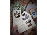 O Červené karkulce - prosvěcovací kartičky