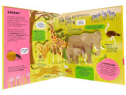 Úžasná zvířata POP-UP Catherine Ard, Melanie Mikecz