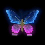 Led Neon Light lampička Motýl 2Kids Toys 
