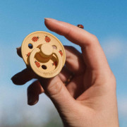 Colour Ladybug dudlíky z přírodního kaučuku 2 ks 6 - 18 m Bibs