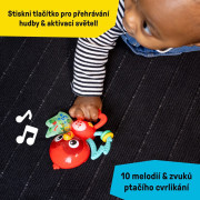 Hračka hudební senzorická Roxy's Bright Flight™ 3 m+ Baby Einstein