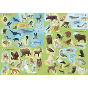 Svět zvířat v samolepkách Atlas - Zvířata světa