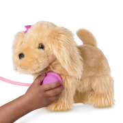 Kokršpaněl v kabelce s veterinářskou sadou Pucci Pups