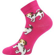 Ponožky dětské Kay s obrázky dívčí mix C (3 páry) 
