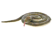 Plyšový had 170 cm